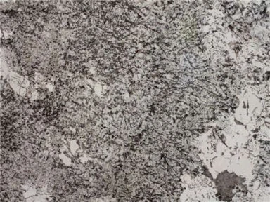 Bianco Antico Granitfliesen