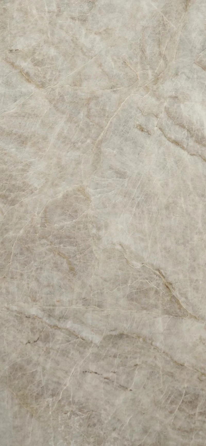 Taj Mahal Quartzite vein Taj Mahal Quartzite vein
